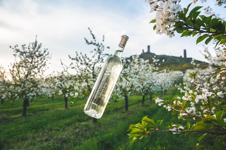 Bohemian Uplands Wine Tasting Tour from Prague with Lunch