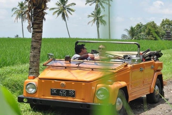 West Bali VW Jeep Tour — Jatiluwih Rice Terraces, Nungnung Waterfall & Temple Gardens photo 6
