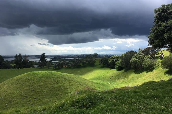 Half-Day Auckland Volcanoes Tour: Walk Auckland's Volcanoes photo 6