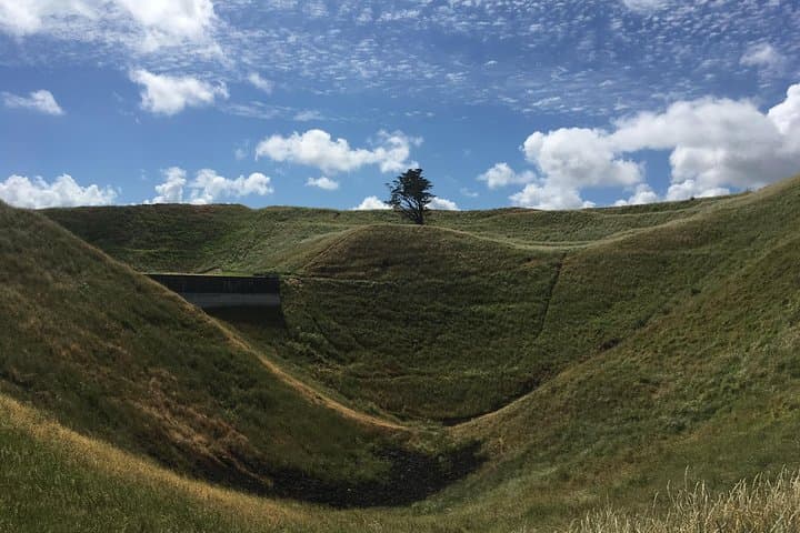 Half-Day Auckland Volcanoes Tour: Walk Auckland's Volcanoes photo 2