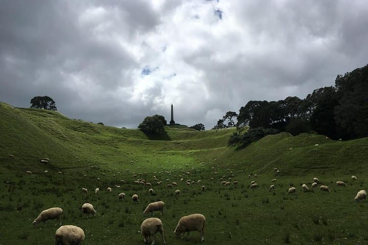 Half-Day Auckland Volcanoes Tour: Walk Auckland's Volcanoes photo 3