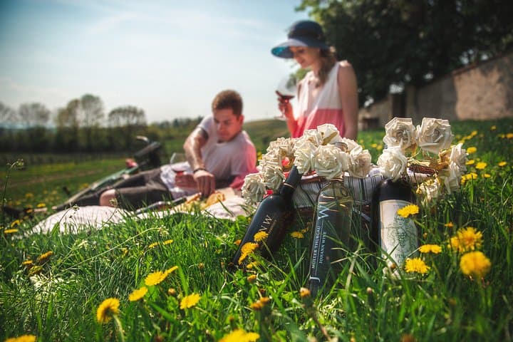 Off-Road to Bohemian Vineyards: Private 4x4 Wine Tasting & Picnic from Prague photo 1