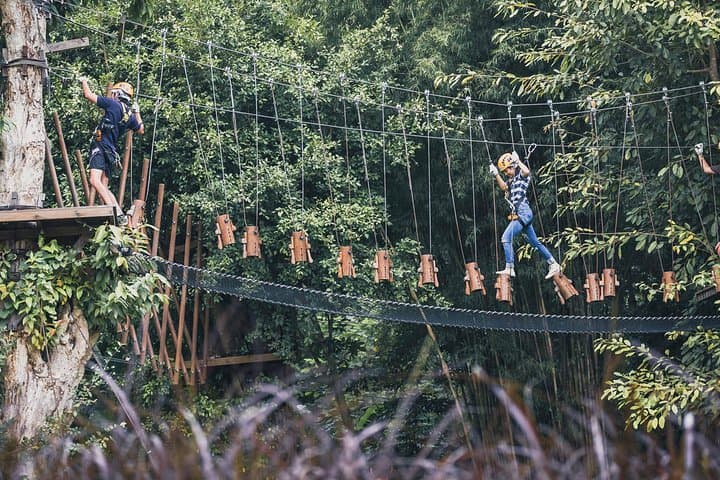 Phoenix Zipline Adventure Park Chiang Mai: Treetop Ropes, Ziplines & 10–24 Challenge Courses photo 2