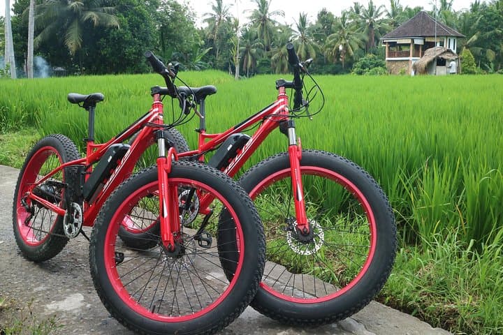Electric Fat-Tire E-Bike Tour Through Ubud Rice Fields photo 3