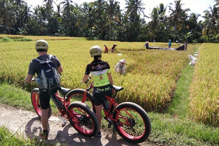 Electric Fat-Tire E-Bike Tour Through Ubud Rice Fields photo 4