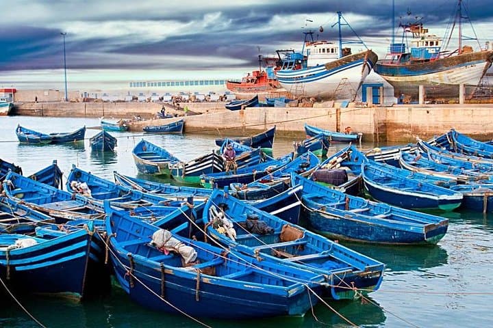 Essaouira Day Trip from Marrakech: Argan Factories, Skala Cannons & Atlantic Medina photo 4