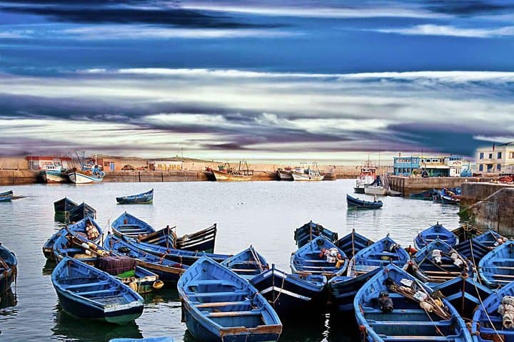 Essaouira Day Trip from Marrakech: Argan Factories, Skala Cannons & Atlantic Medina photo 5