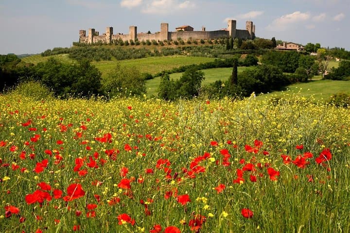 Guided Hiking in Tuscany: Private Day Trek from Siena to San Gimignano photo 3