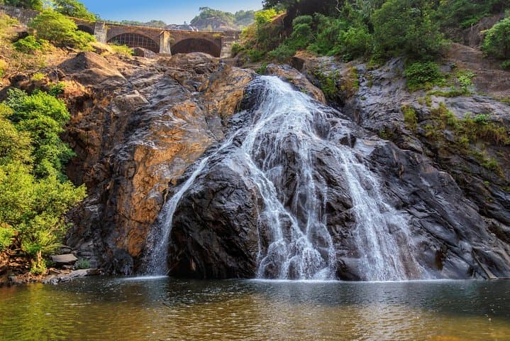 Dudhsagar Falls Jeep Safari: Day Trip to Mollem National Park from Goa photo 5