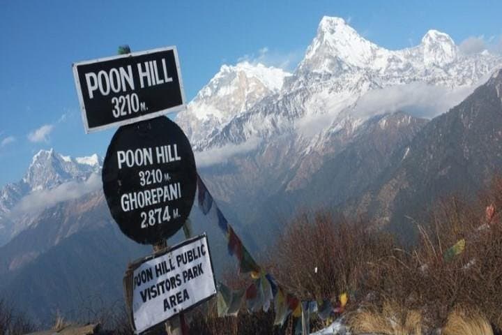 7-Day Annapurna Base Camp Trek from Pokhara — Classic Sanctuary Circuit photo 4