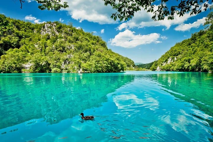 Split to Zagreb Transfer with Plitvice Lakes: One-Day Guided Stop at Croatia’s Waterfalls photo 3