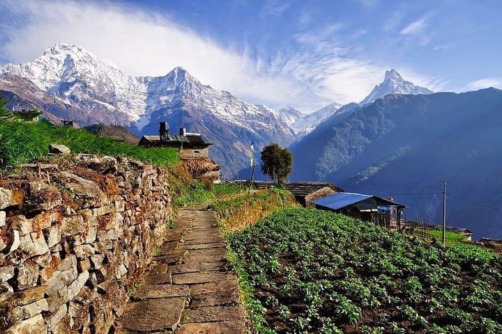 Ghorepani Poon Hill Trek: 5-Day Annapurna Sunrise Hike from Pokhara photo 2