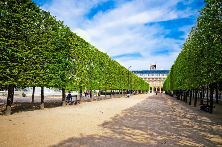 Explore Paris by Coach and Seine Cruise: Top Sights in 2.5 Hours photo 5