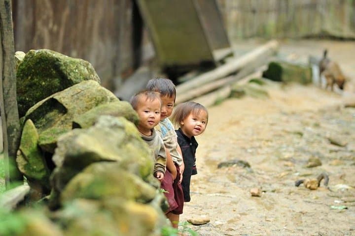 Sapa 2-Day Trek: Overnight Bungalow Homestay from Hanoi photo 6