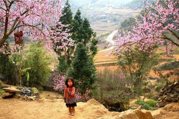 Sapa 3-Day Trek: Ta Van Homestay, Rice Terraces & Muong Hoa Valley photo 1