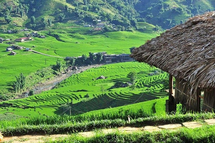 Sapa Two-Day Trek and Homestay in Ta Van Village from Hanoi photo 4