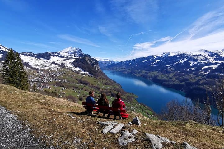 Zurich Private Tour: Waterfalls, Walensee & Sardona Lakes photo 6
