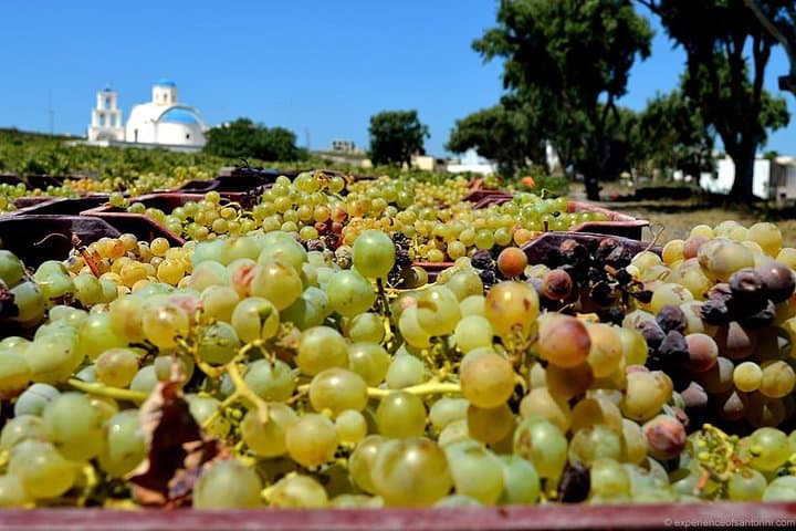 Santorini Wine Roads: Half‑Day Caldera Tasting and Oia Stroll photo 2
