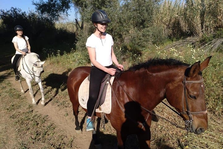 Seville Horse Riding Excursion: 2-Hour Andalusian Ranch Trail Ride photo 5