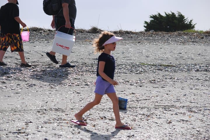 Charleston Eco Boat Cruise to Morris Island Lighthouse — Dolphins, Shells & Coastal Ecology photo 4