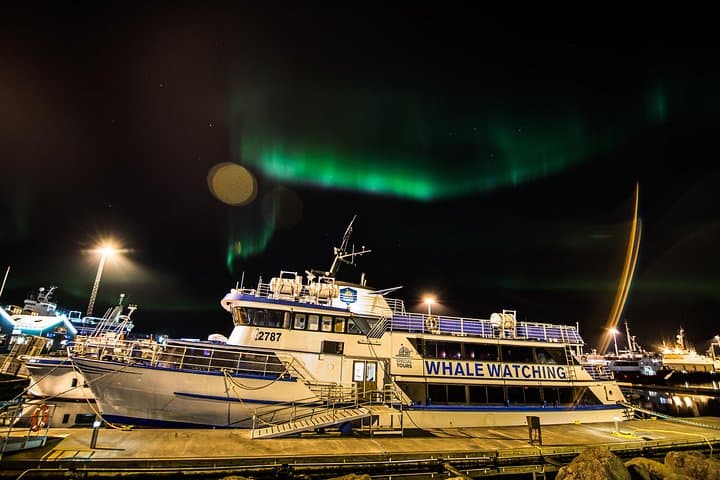 Northern Lights Cruise from Reykjavik: Nighttime Aurora Viewing on the North Atlantic photo 2