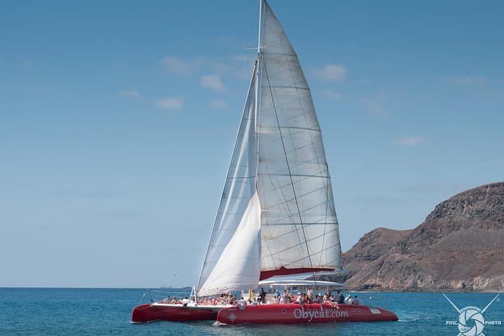 Caleta de Fuste Catamaran Half-Day Cruise: Snorkel, Dolphins & Paella photo 4