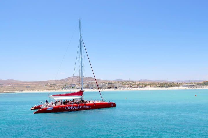 OBYCAT Catamaran Experience: Half-Day Sailing & Snorkeling from Caleta de Fuste photo 2