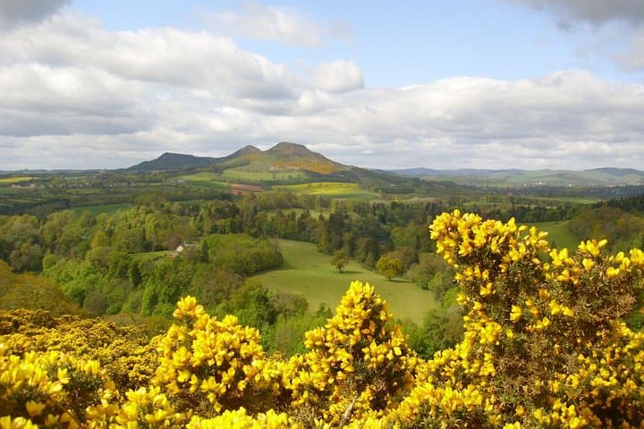 Rosslyn Chapel & Scottish Borders Day Tour from Edinburgh: Da Vinci Code, Melrose & Scott's View photo 5