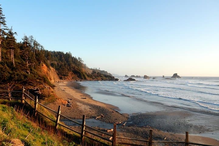 Exploring the Oregon Coast: A Full-Day Scenic Tour from Portland photo 5
