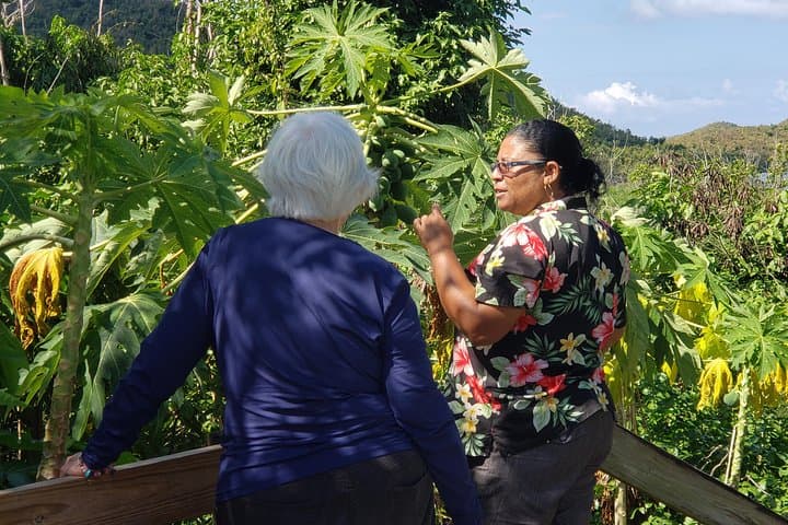 Private 2.5-Hour St. John Island Tour from Cruz Bay — Star Fish Tours photo 4