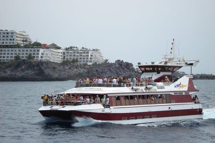 Royal Dolphin Whale Watching Excursion from Costa Adeje — Tenerife Catamaran Tour photo 2