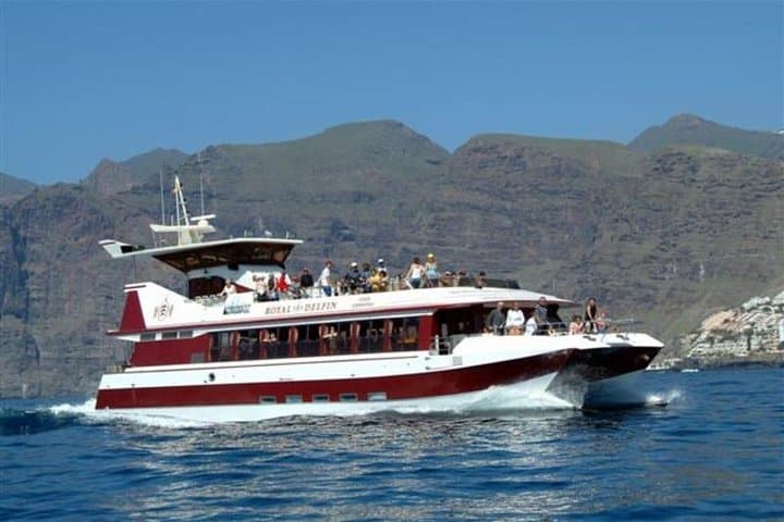 Royal Dolphin Whale Watching Excursion from Costa Adeje — Tenerife Catamaran Tour photo 3
