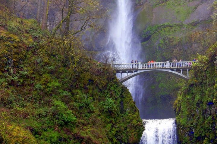 Exploring the Columbia River Gorge: Waterfalls, Basalt Walls, and Vista House on a Half-Day Tour photo 6