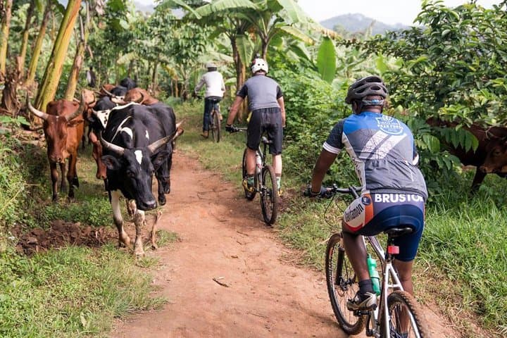 Island Cycling on Lake Victoria: 20km Mukono Ride from Kampala photo 4