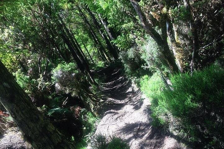 Rocha do Chambre Hiking Trail — Terceira Island's Vale do Azinhal & Chambre Viewpoint photo 5