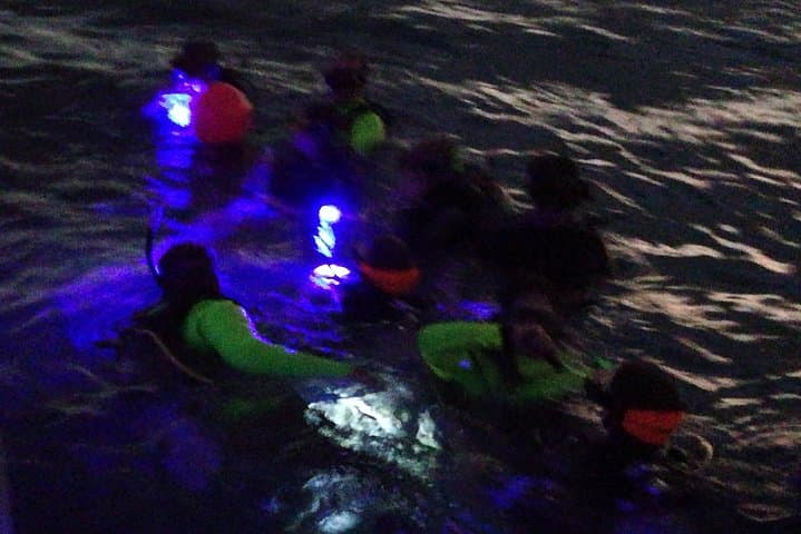 Aruba Fluorescent Night Dive at The Hole in the Wall — 1‑Tank Guided UV Dive photo 4