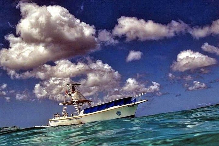 Aruba After-Dark: 1-Tank Guided Night Dive for Certified Divers photo 5