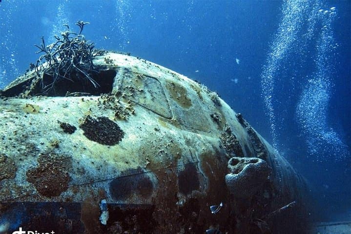 Aruba After-Dark: 1-Tank Guided Night Dive for Certified Divers photo 2
