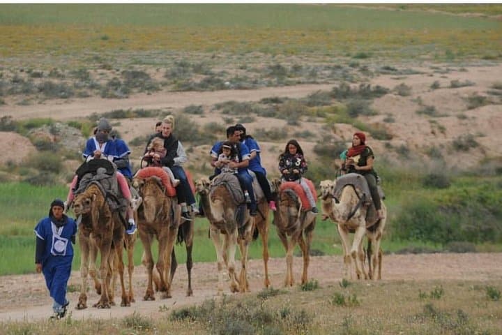 Camel Riding in Marrakech Palmeraie — 1-Hour Camel Tour with Pickup and Mint Tea photo 3