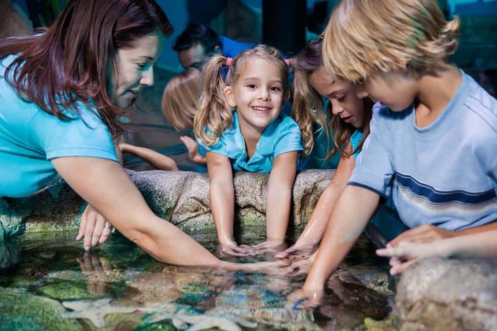 Inside SEA LIFE Manchester: Underwater Tunnel, Turtles & Touch Pools photo 5
