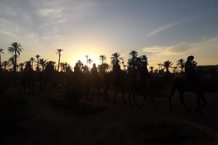 Camel Riding in Marrakech Palmeraie — 1-Hour Camel Tour with Pickup and Mint Tea photo 5