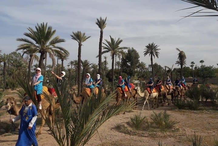 Camel Riding in Marrakech Palmeraie — 1-Hour Camel Tour with Pickup and Mint Tea photo 6