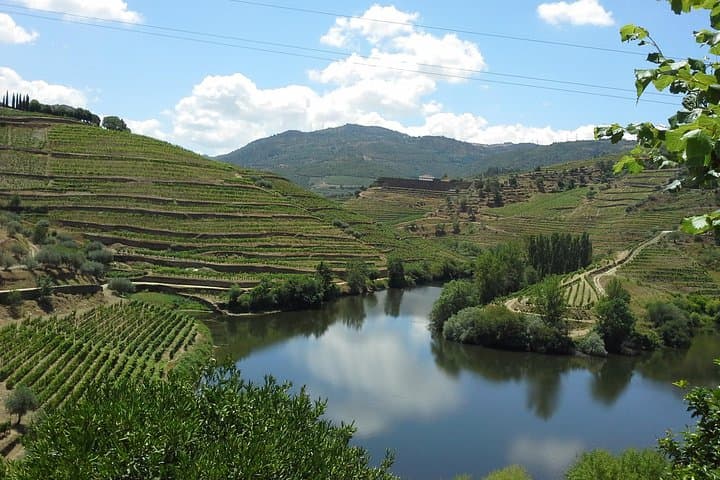 Authentic Douro Valley Day Tour from Porto — Quintas, Terraces & N222 Views
