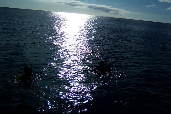 Aruba Night Dive: 1-Tank Guided Shore Dive with Rental Gear photo 5