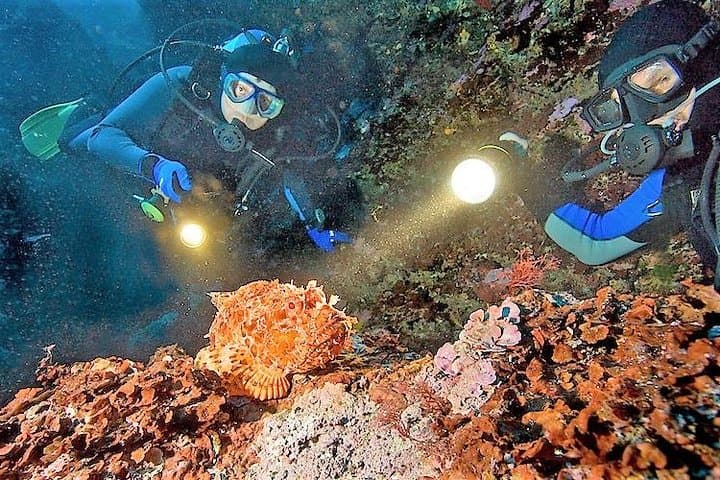 Aruba Night Dive: 1-Tank Guided Shore Dive with Rental Gear