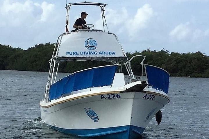 Aruba Night Dive: 1-Tank Guided Shore Dive with Rental Gear photo 4