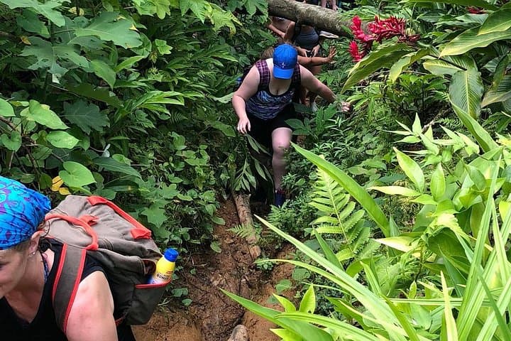 El Yunque Off the Beaten Path: River Hikes, Pools & Natural Slides from San Juan photo 4