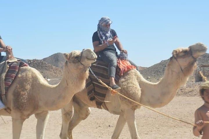 Hurghada Desert Safari: Jeep, Quad & Buggy Adventure with Bedouin Dinner and Show photo 6