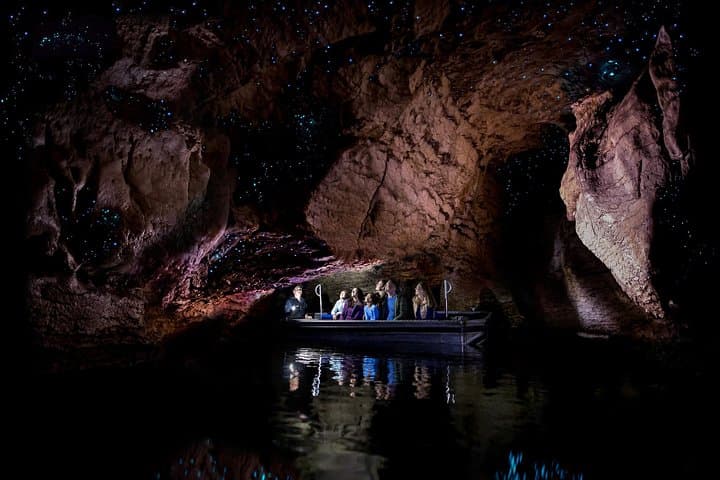 Te Anau Glow Worm Caves Tour: Lake Cruise to Cavern Glowworm Experience photo 2