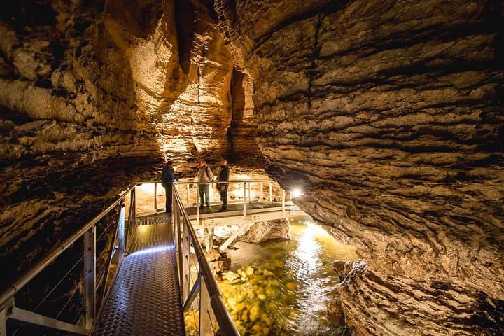 Te Anau Glow Worm Caves Tour: Lake Cruise to Cavern Glowworm Experience photo 4